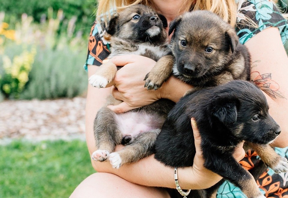 Такие малыши-карандаши не должны быть без семьи