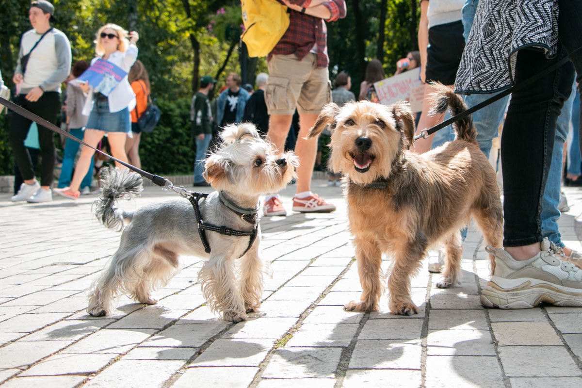 Дружок, давай знакомиться. Все же одно дело делаем!