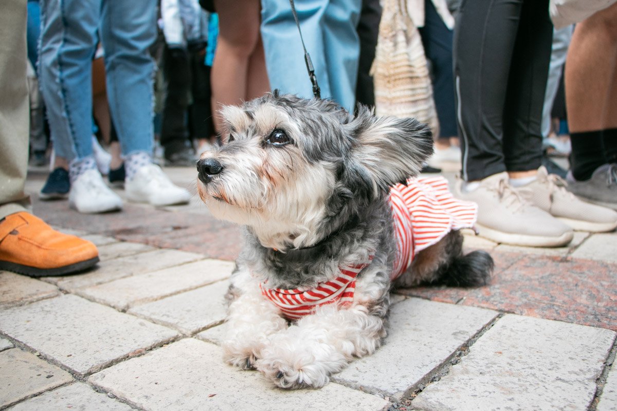 Мама, мне немножко страшно