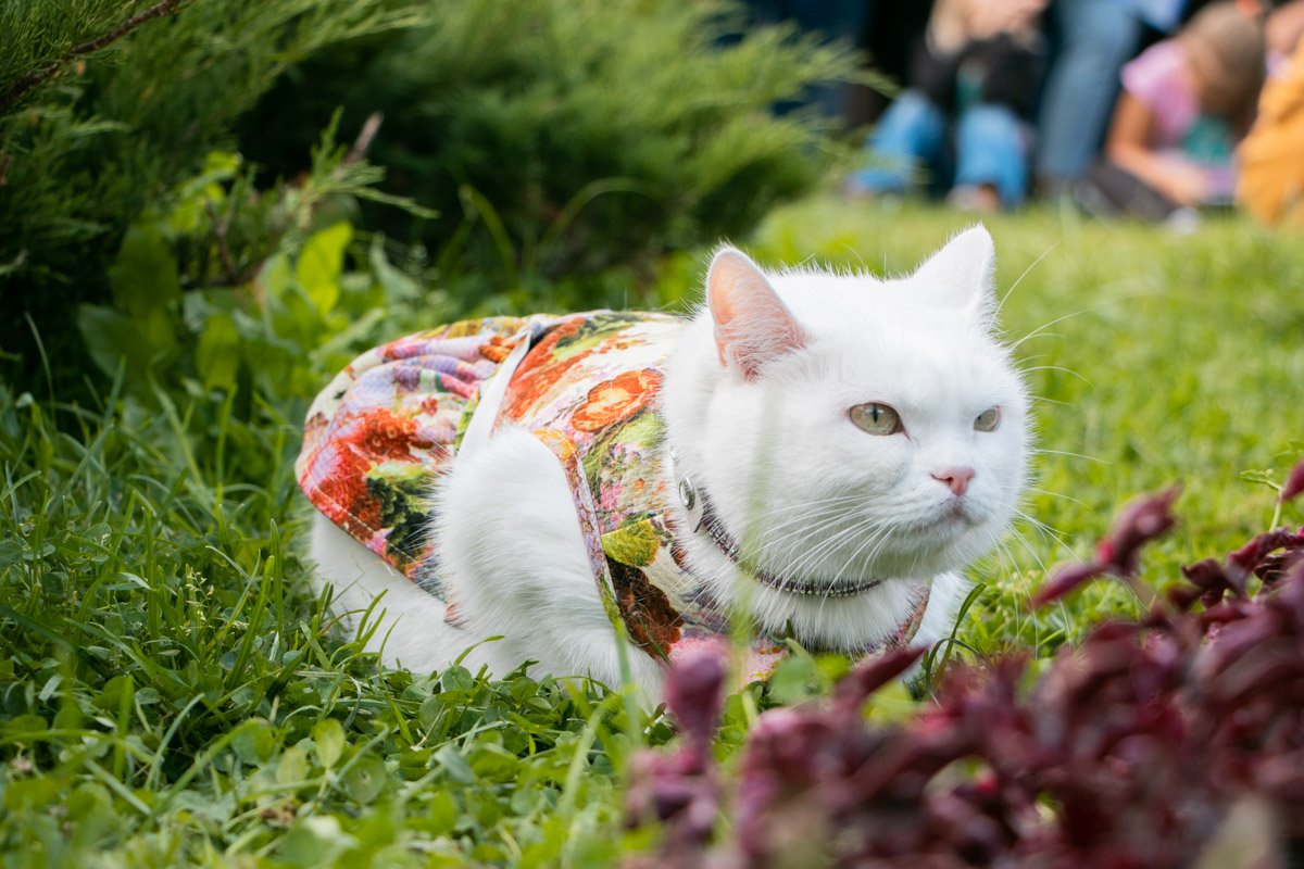 Я же говорила, что мне не нравится этот цвет