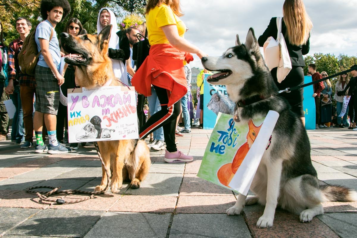 Читай, что написано или укушу