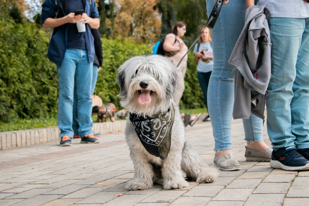 Стрит стайл