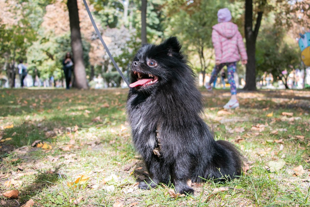 Зови меня Блэк, мистер Блэк