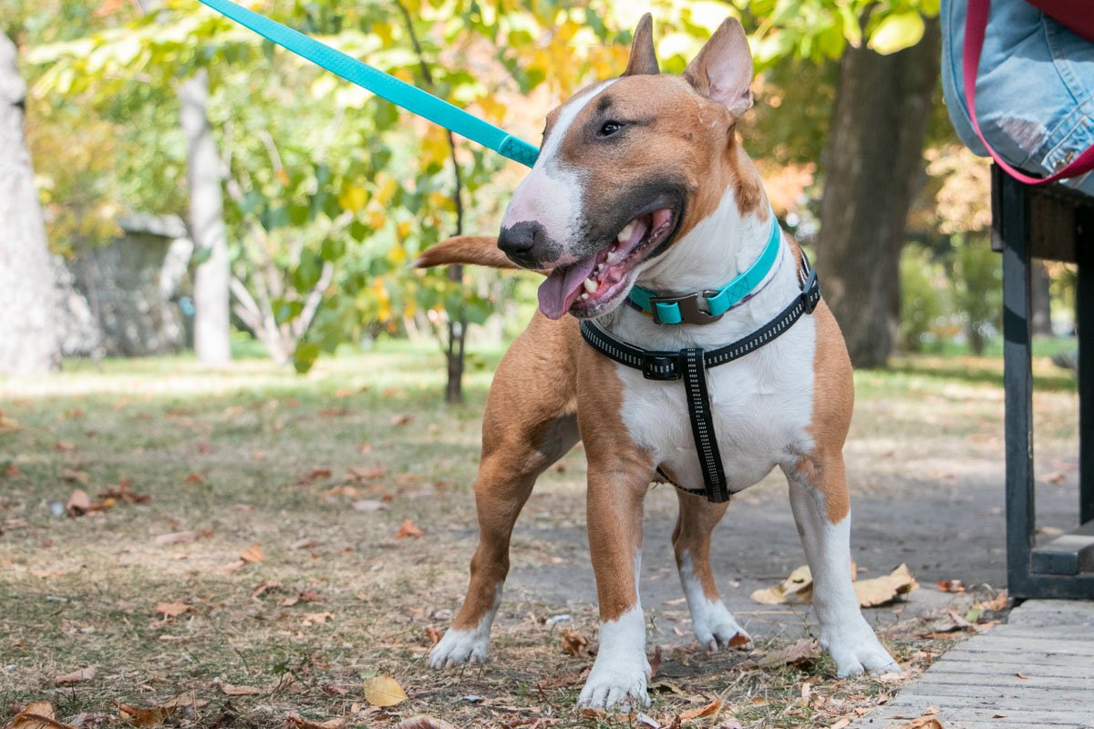 А я что? А я ничего, просто гуляю