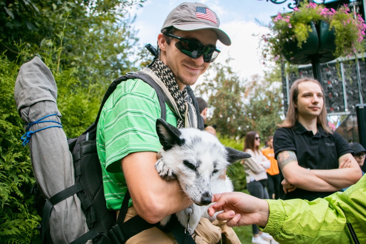 Сам ты собака, я - лис!