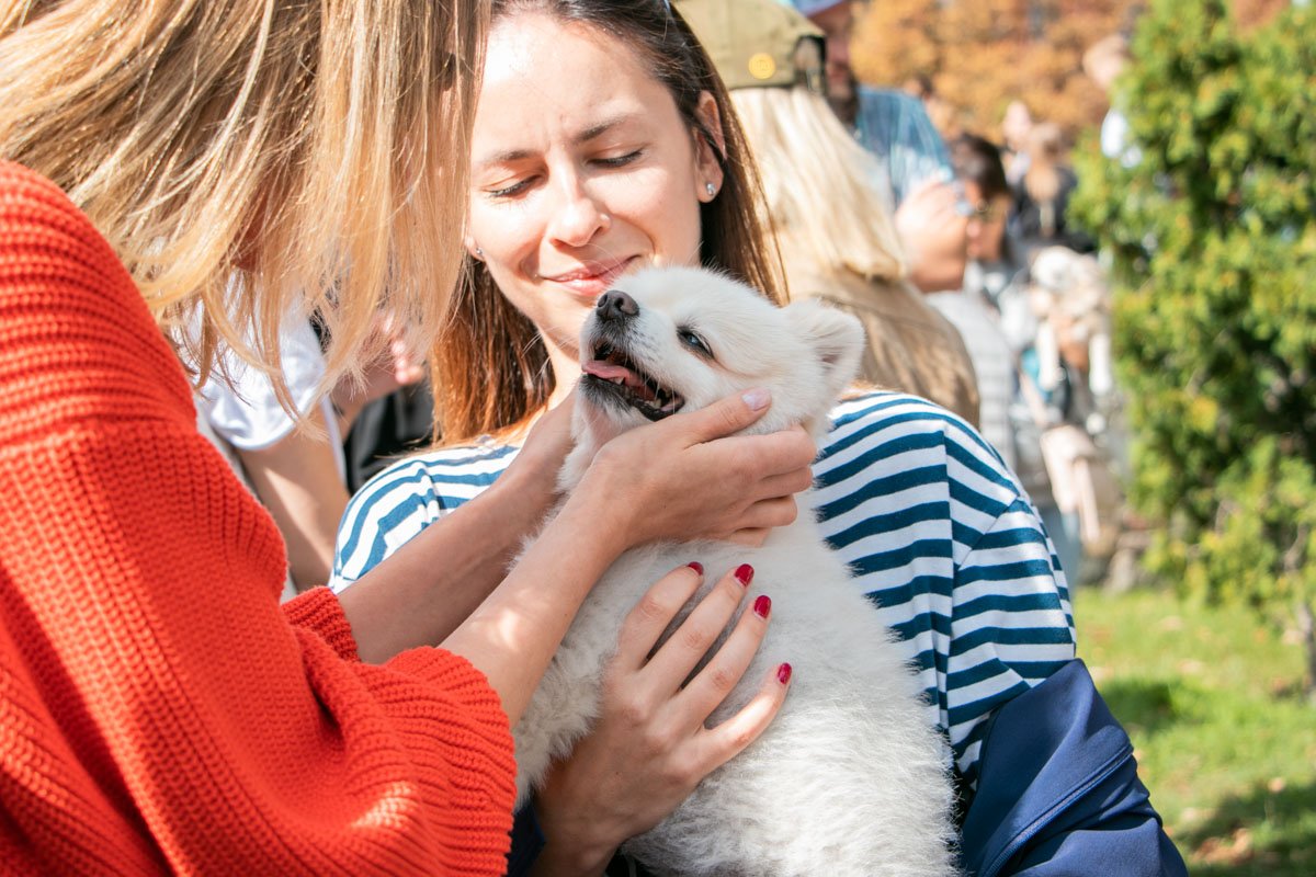Несмотря на серьезность требования, атмосфера на марше была очень милая Несмотря на серьезность требования, атмосфера на марше была очень милая