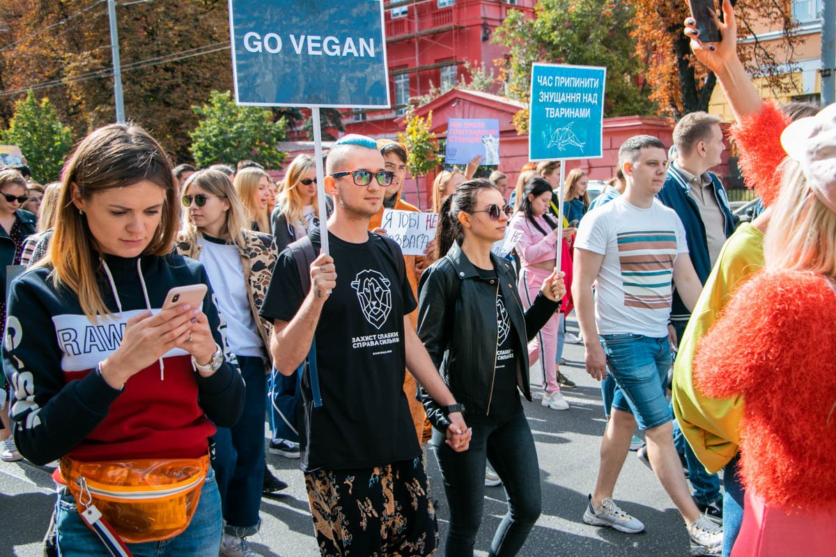 Вегетарианцы выступают против убийства животных ради еды Вегетарианцы выступают против убийства животных ради еды