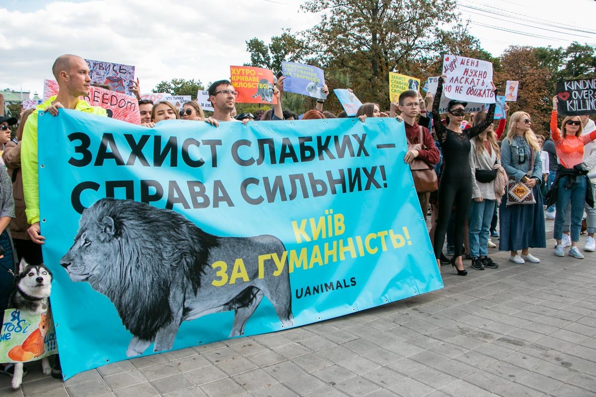 Зоозащитники требуют запретить цирки с животными Зоозащитники требуют запретить цирки с животными