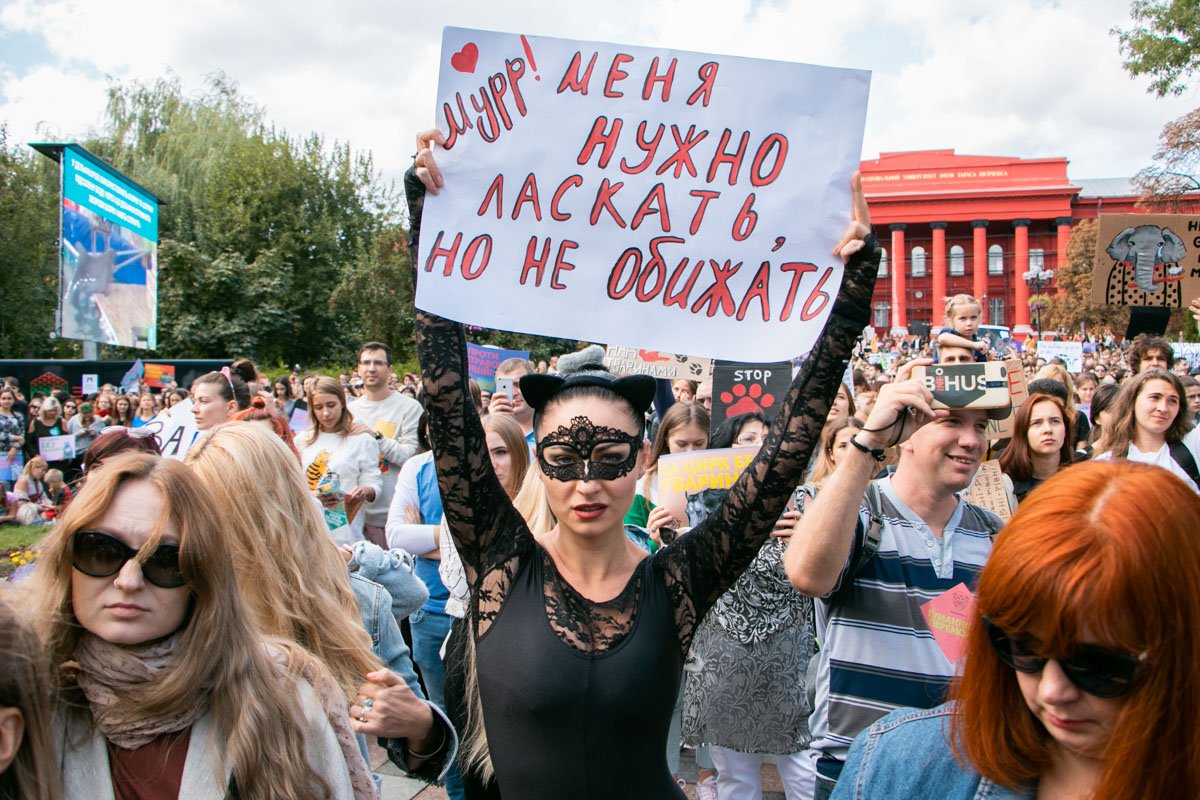 А вы бы приласкали?