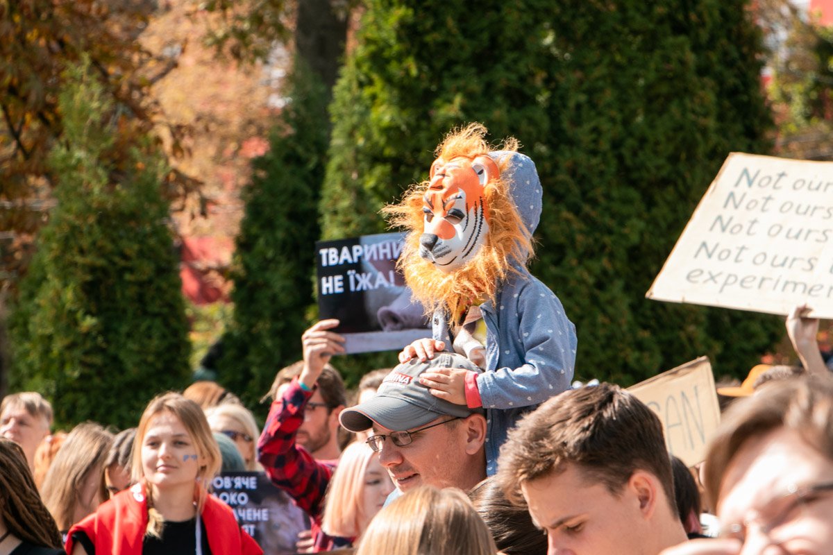 Я злой и страшный рыжий тигр 