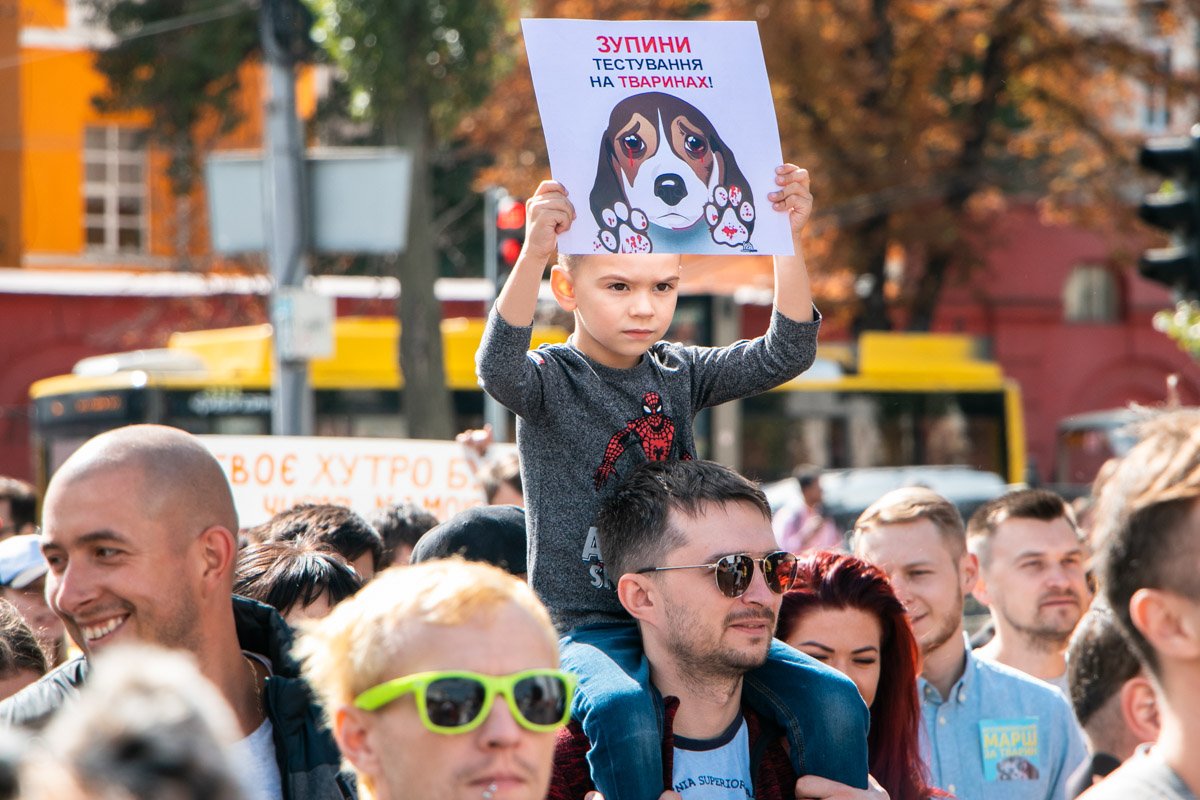 Судя по взгляду, при этом мальчике лучше не обижать собачек 
