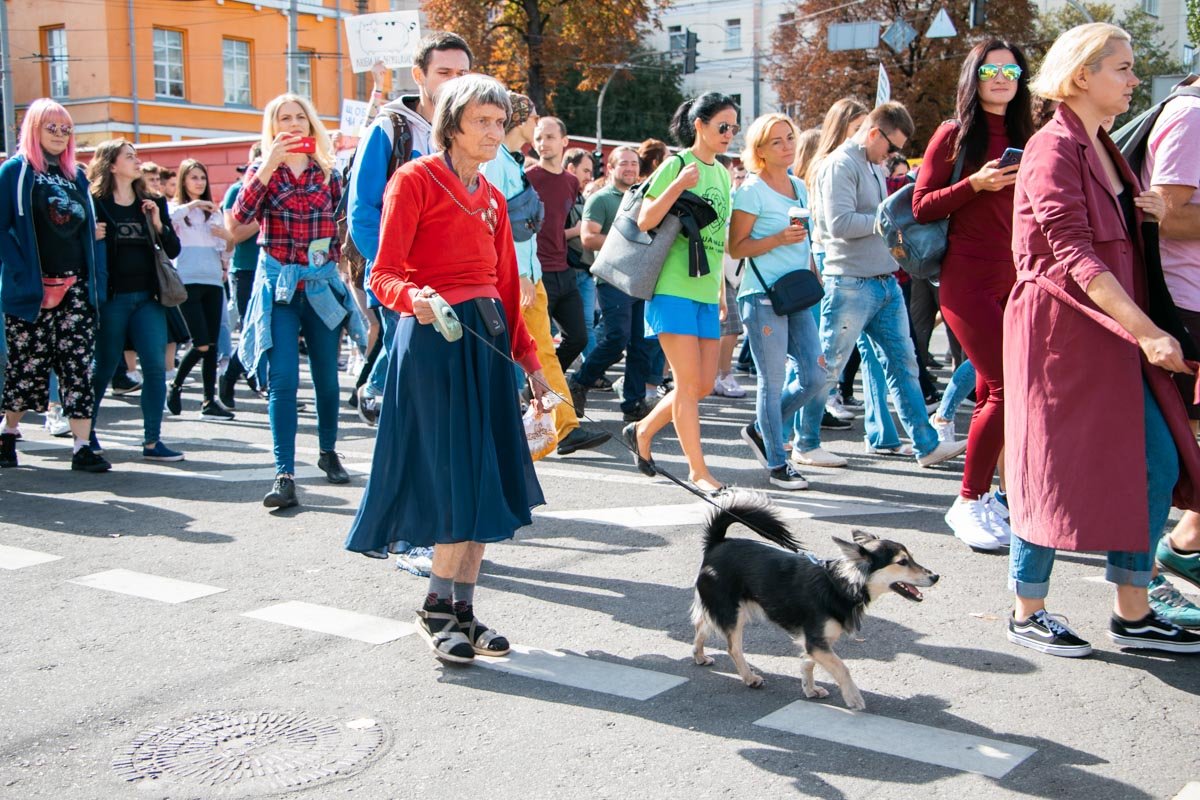 Собаки - верные друзья, которые никогда не предадут