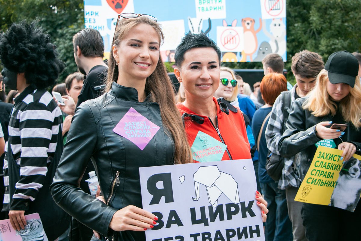 Да, красивые девушки, но обратите внимание на задний фон