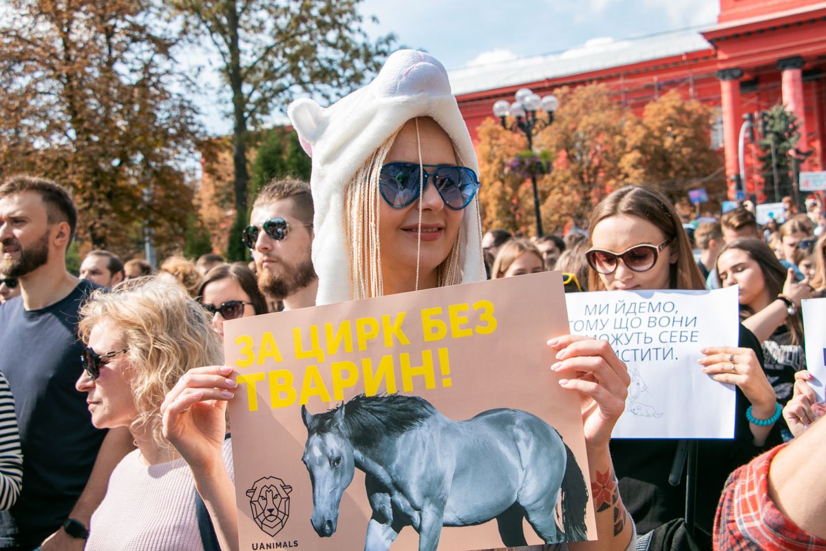 Умка в Киеве 