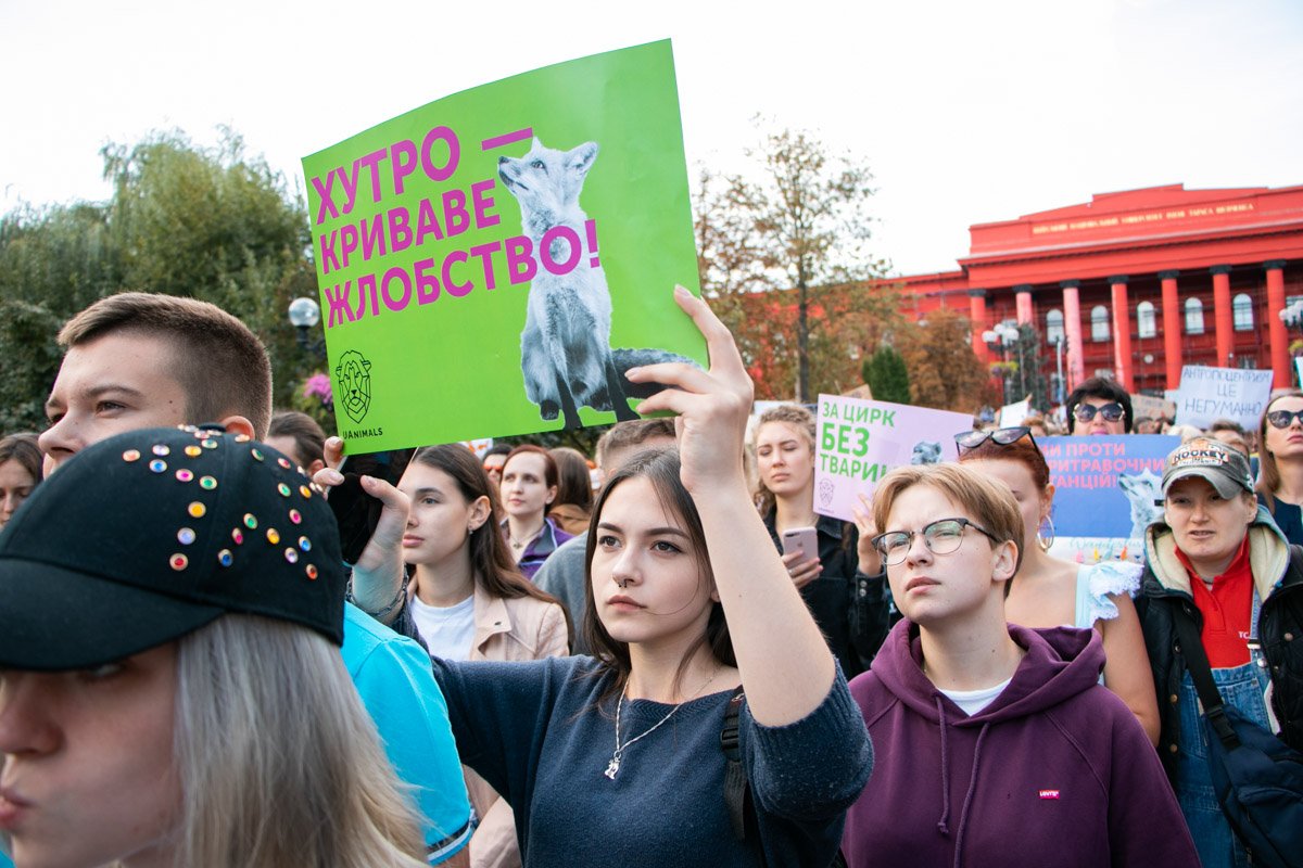 Молодежь выступает в авангарде защиты животных 