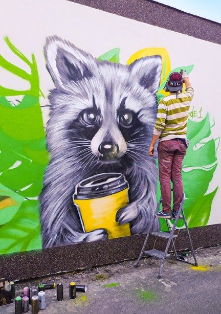 В Киеве на Троещине поселился енот с кофе в лапках В Киеве на Троещине поселился енот с кофе в лапках