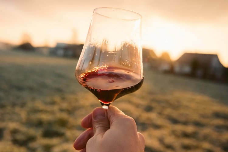 Как там говорят - без винишка жизнь не та? :)