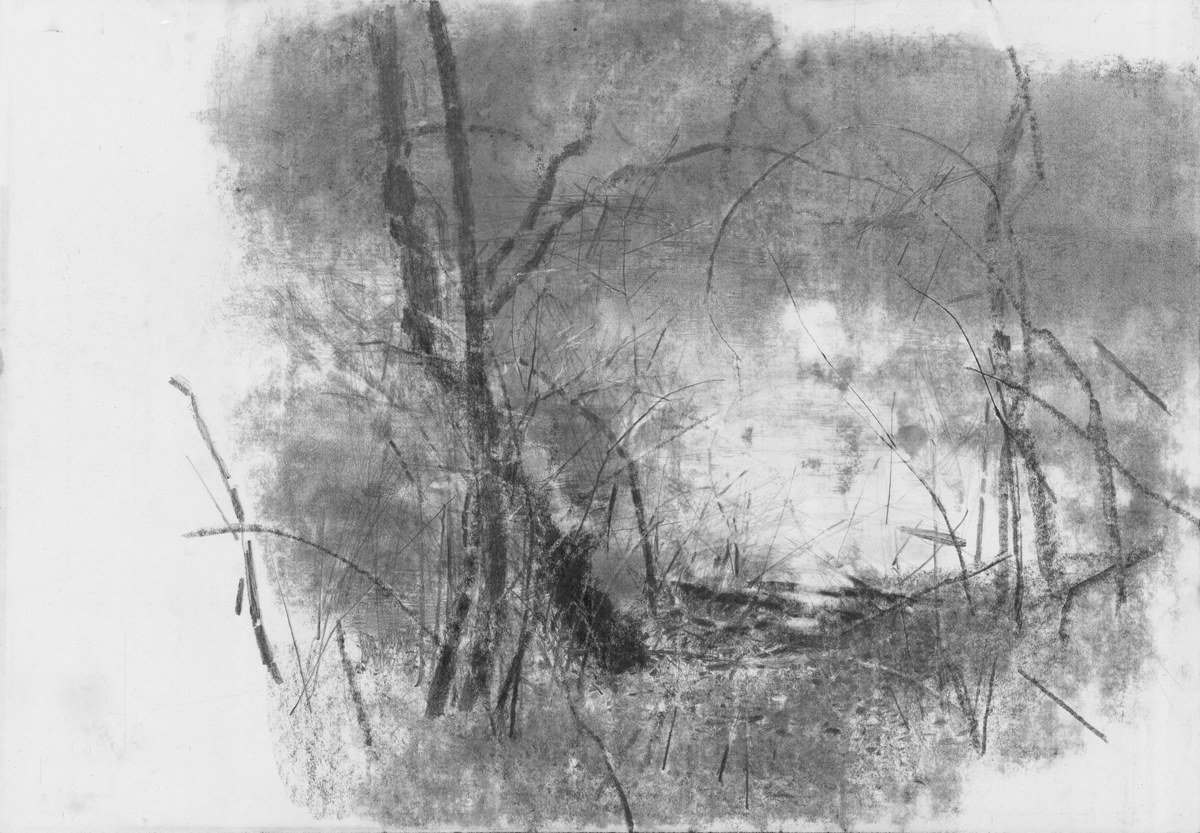 Одна из работ Дмитрия Просветова Одна из работ Дмитрия Просветова