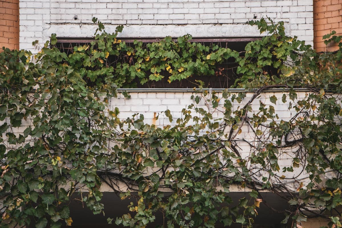 Тело лежало на козырьке парадного 16-этажного дома