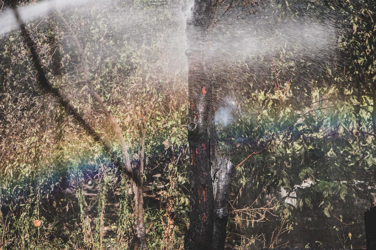 К счастью, обошлось без пострадавших К счастью, обошлось без пострадавших