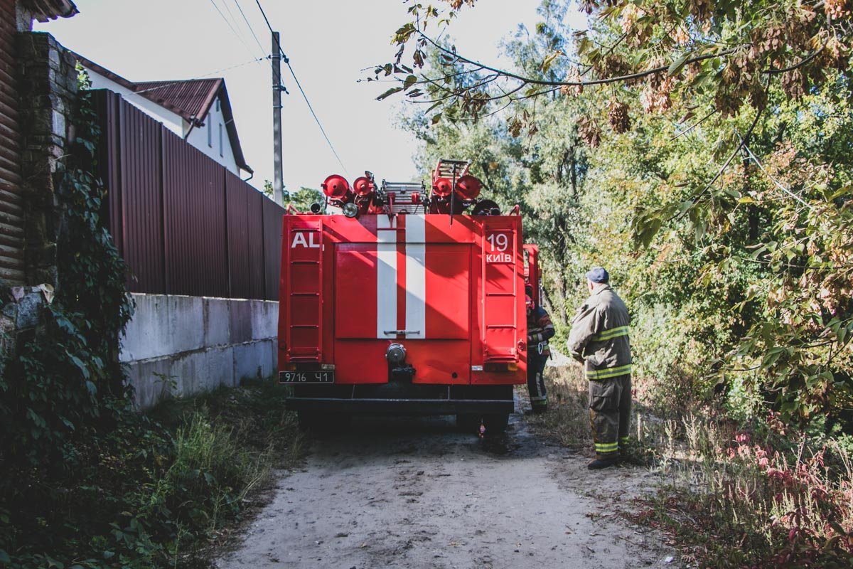 На месте работали две единицы техники и около 10 человек личного состава спасателей На месте работали две единицы техники и около 10 человек личного состава спасателей