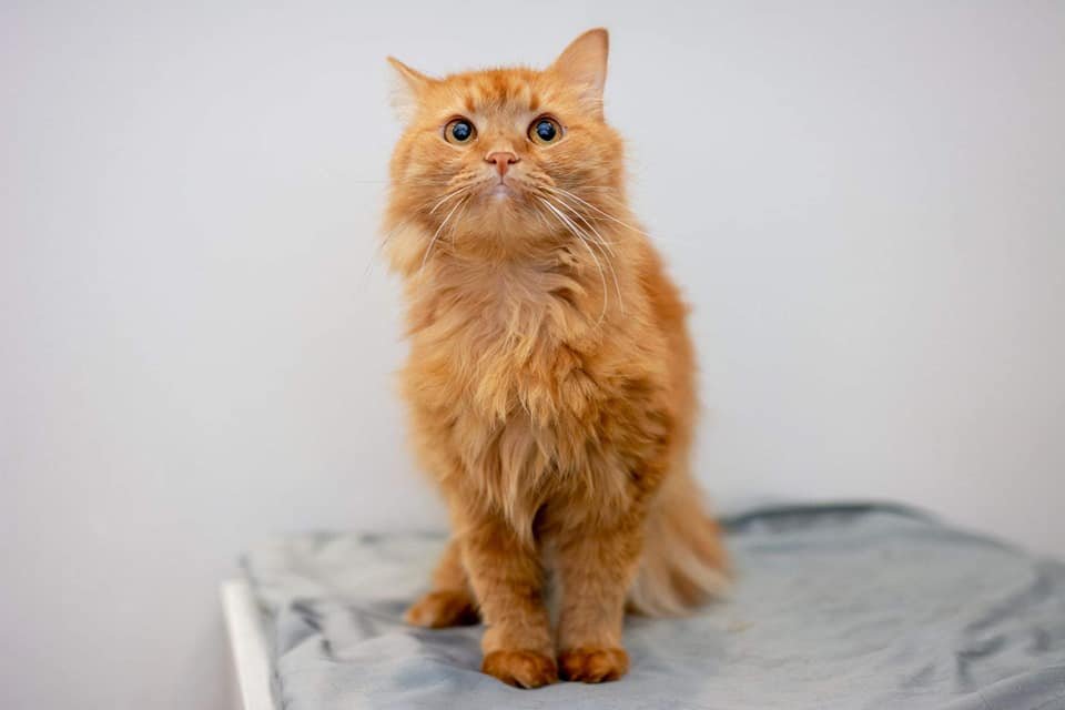 Солнечная Варвара обожает людей