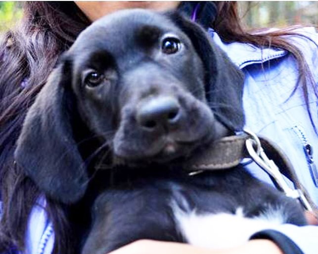 Маленькая Тина готова дарить счастье именно вам 