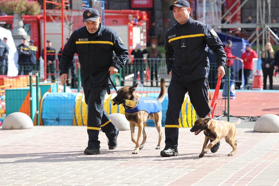 Собаки-спасатели вынесли малышам форму