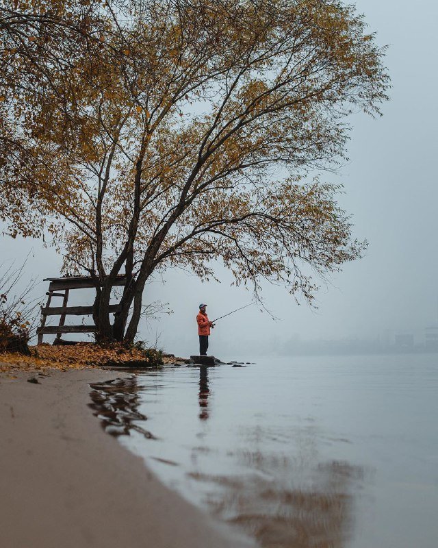 Природа - лучшая фотозона. Фото: @zhukevych Природа - лучшая фотозона. Фото: @zhukevych