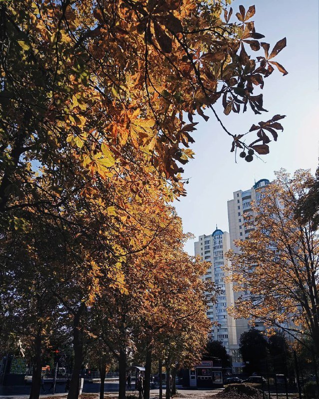 Жутко ярко. Фото: @ph.karakuzya Жутко ярко. Фото: @ph.karakuzya