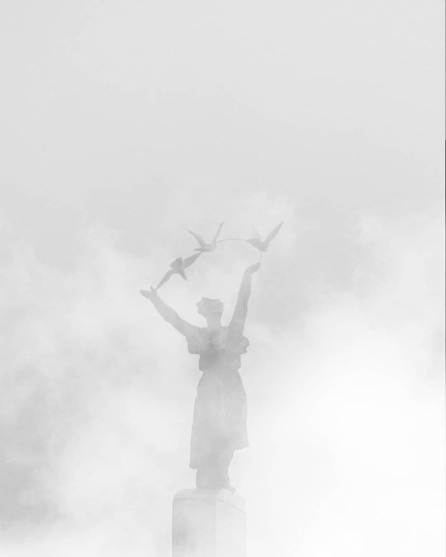 Осенний туман рисует свои картины. Фото: @p_belskyi Осенний туман рисует свои картины. Фото: @p_belskyi