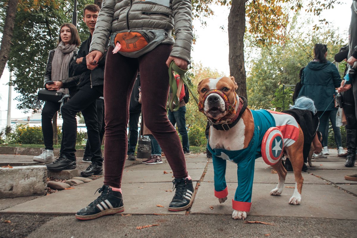 ... так и Капитана "хорошего мальчика" Америку ... так и Капитана "хорошего мальчика" Америку