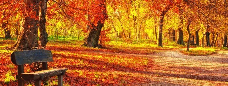 В Украине началась астрономическая осень В Украине началась астрономическая осень