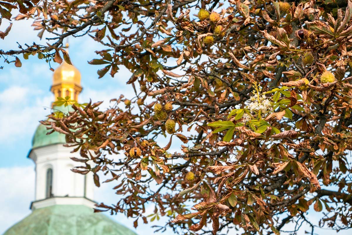 Як тебе не любити, Києве мій...