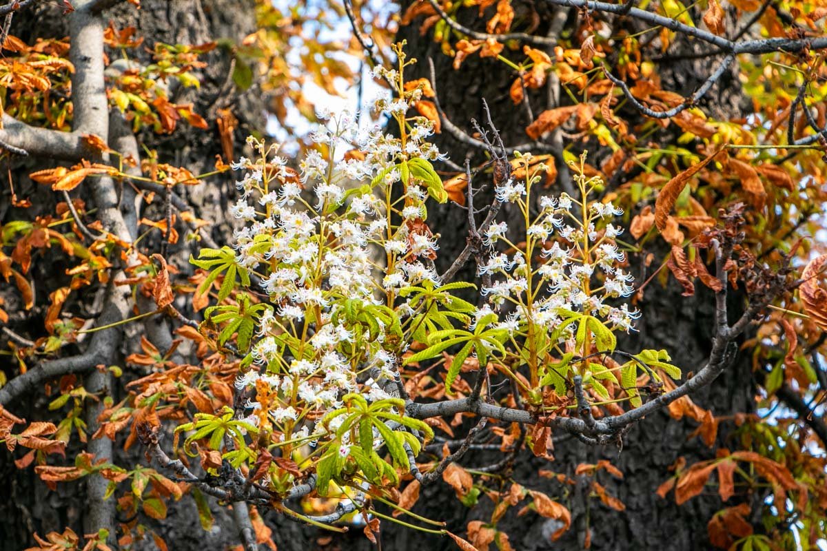 Замечать красоту в мелочах...