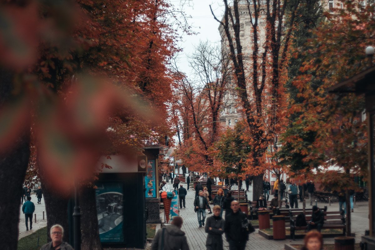 Столица в листьях