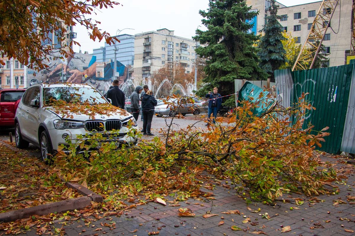 Ветки упали на припаркованный BMW, незначительно повредив авто Ветки упали на припаркованный BMW, незначительно повредив авто
