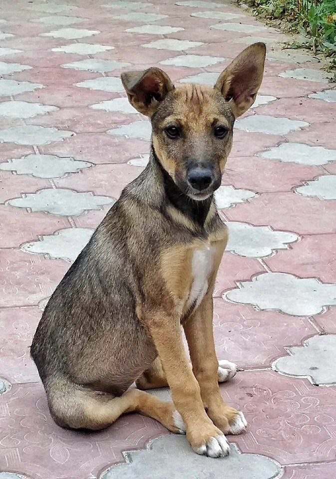 Маленькая Глаша надеется попасть в добрые руки Маленькая Глаша надеется попасть в добрые руки