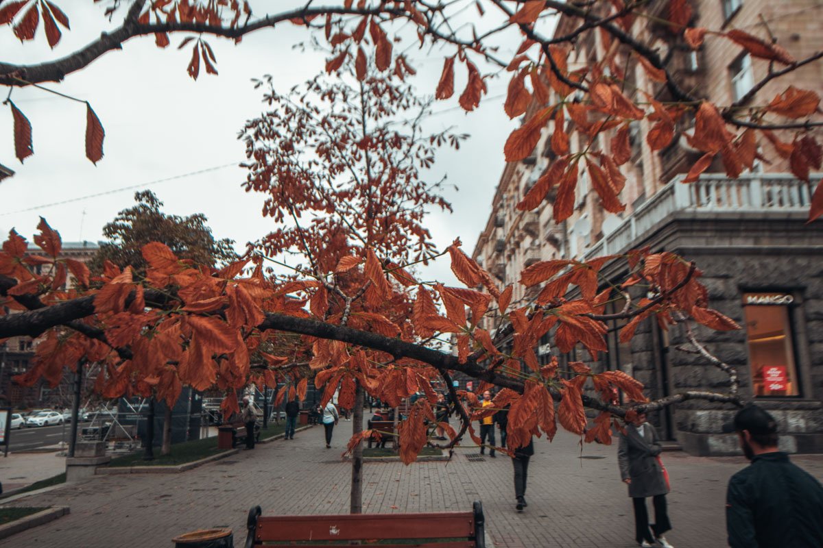 И в то же время не видим красоту осеннего убранства 