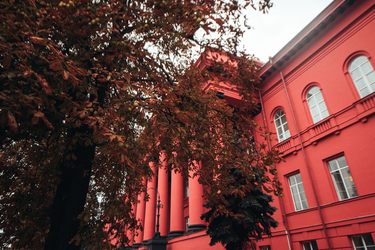 Любите ли вы осень так, как ее любят наши операторы? 