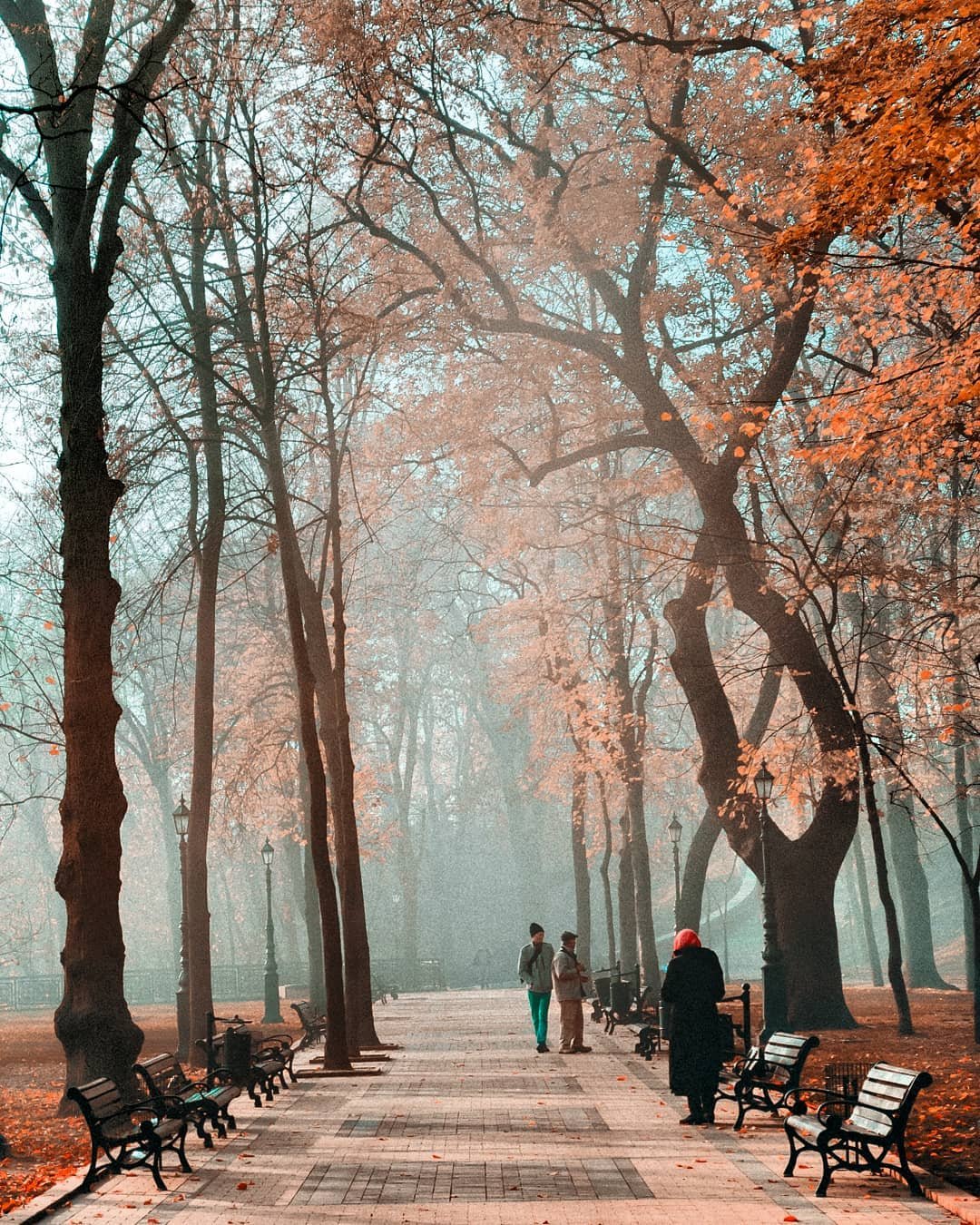 А вот так выглядит, пожалуй, классическая осенняя фотография. @p_belskyi собрал в одном месте все - парк, туман, осенняя листва и люди, не спеша гуляющие по дорожкам