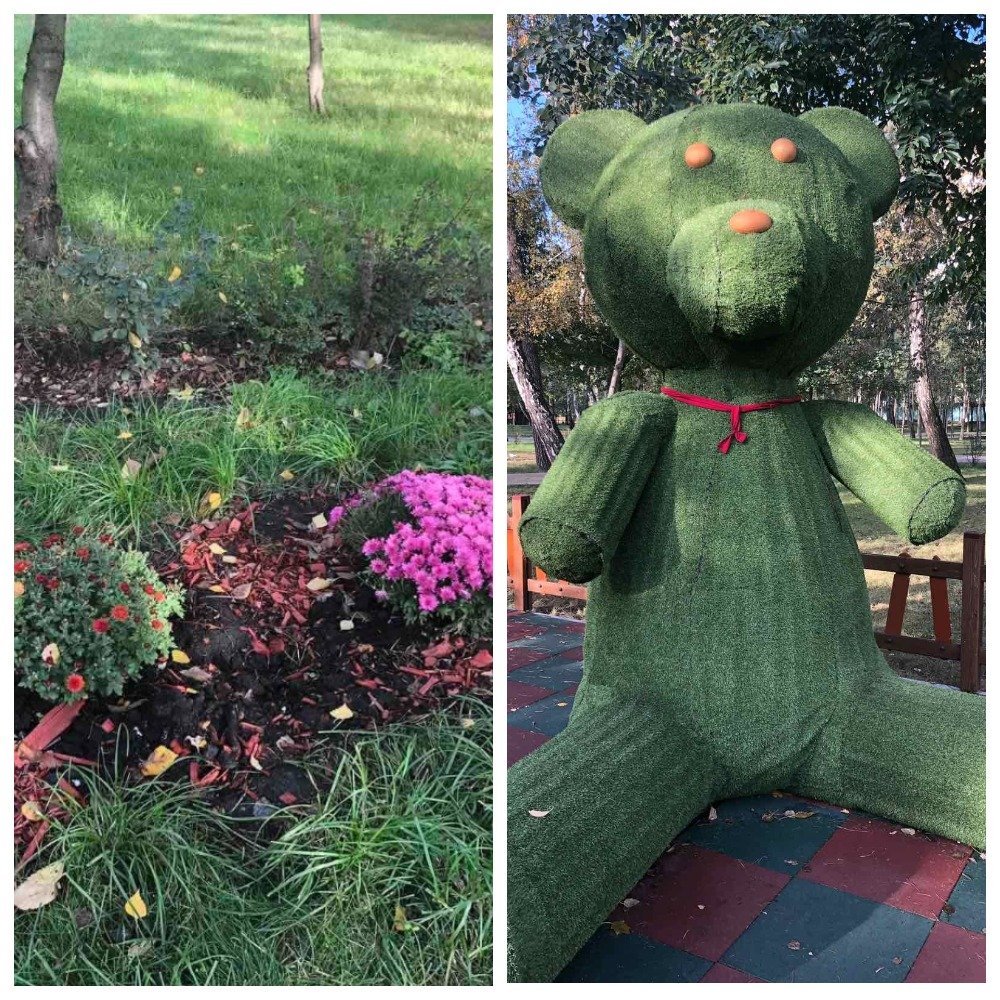 Более того, по неизвестной науке причине они также сорвали бант с фигуры медведя