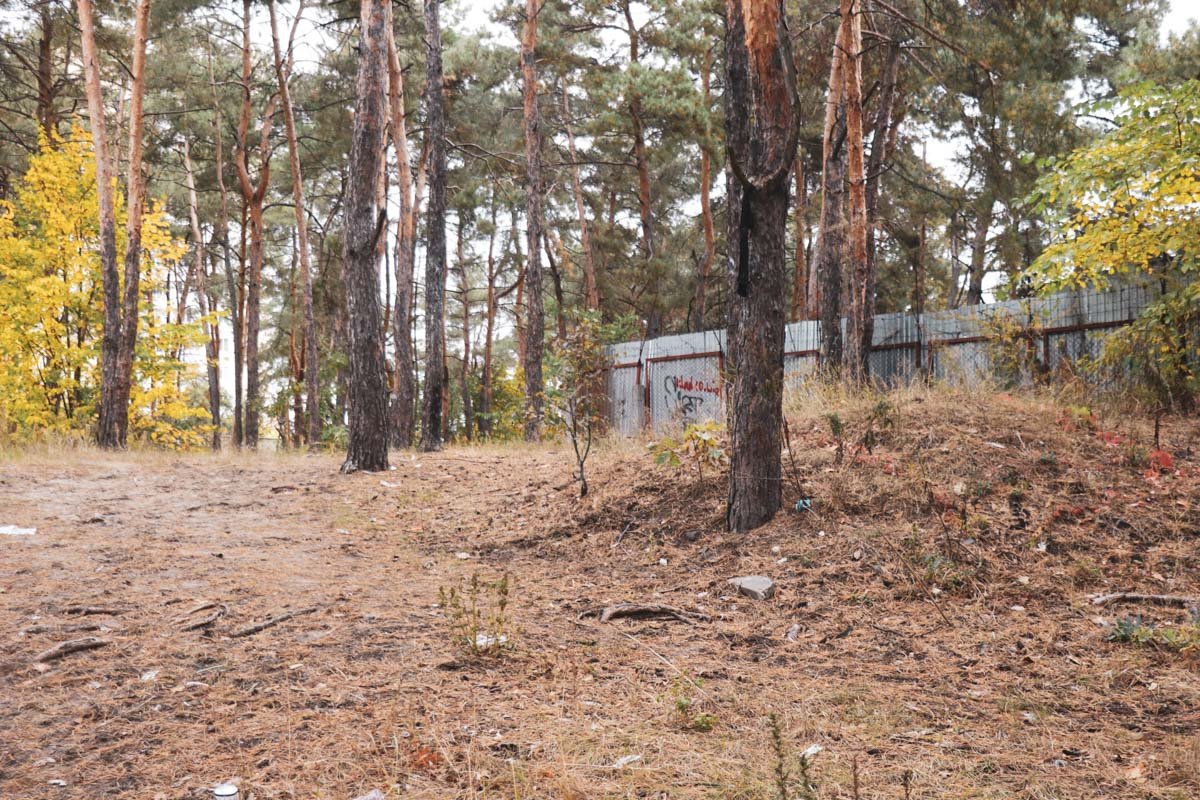 В Киеве на Дарнице в небольшом лесу на дереве висел мертвый мужчина