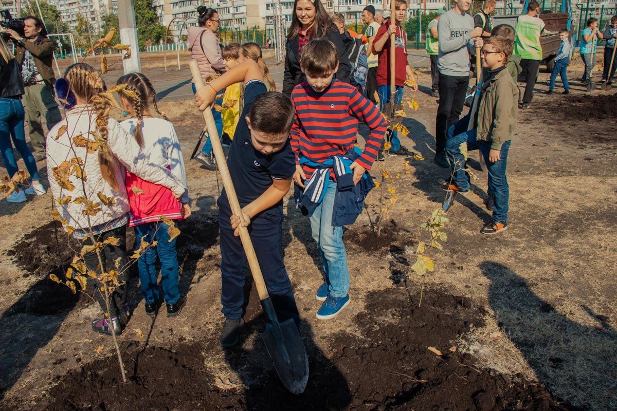 Школьники принесли ко Дню учителя саженцы вместо цветов 