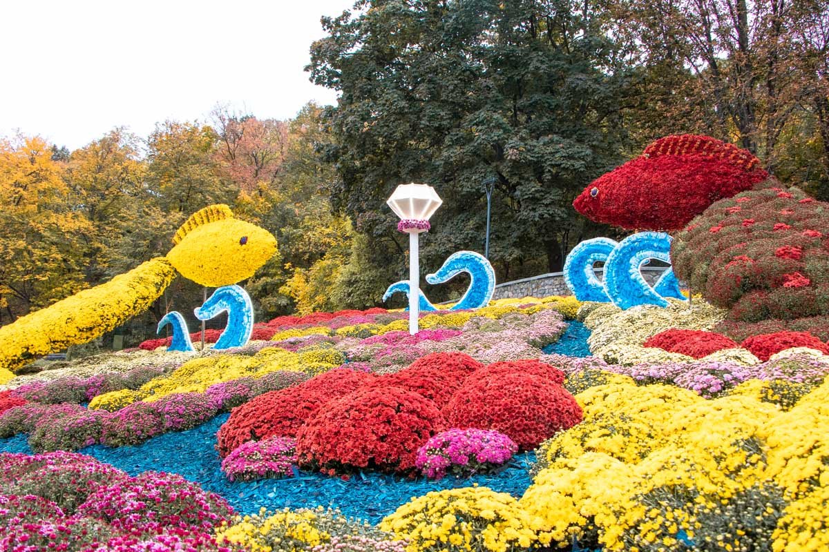 В Киеве стартовал фестиваль "Цветочное созвездие", который призван добавить красок этому октябрю