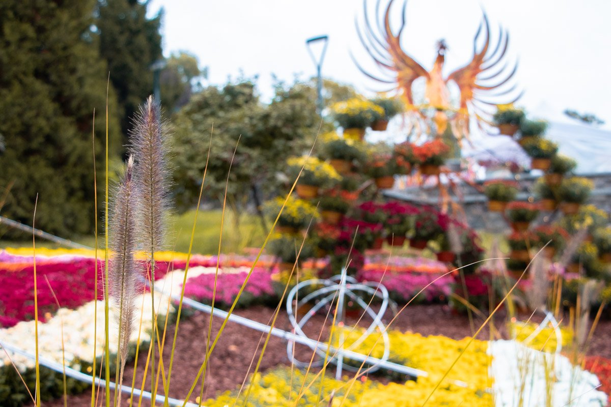 На этот раз участники выставки подготовили 10 композиций-созвездий