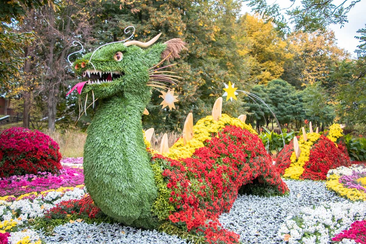 И каждое из таких созвездий действительно впечатляет