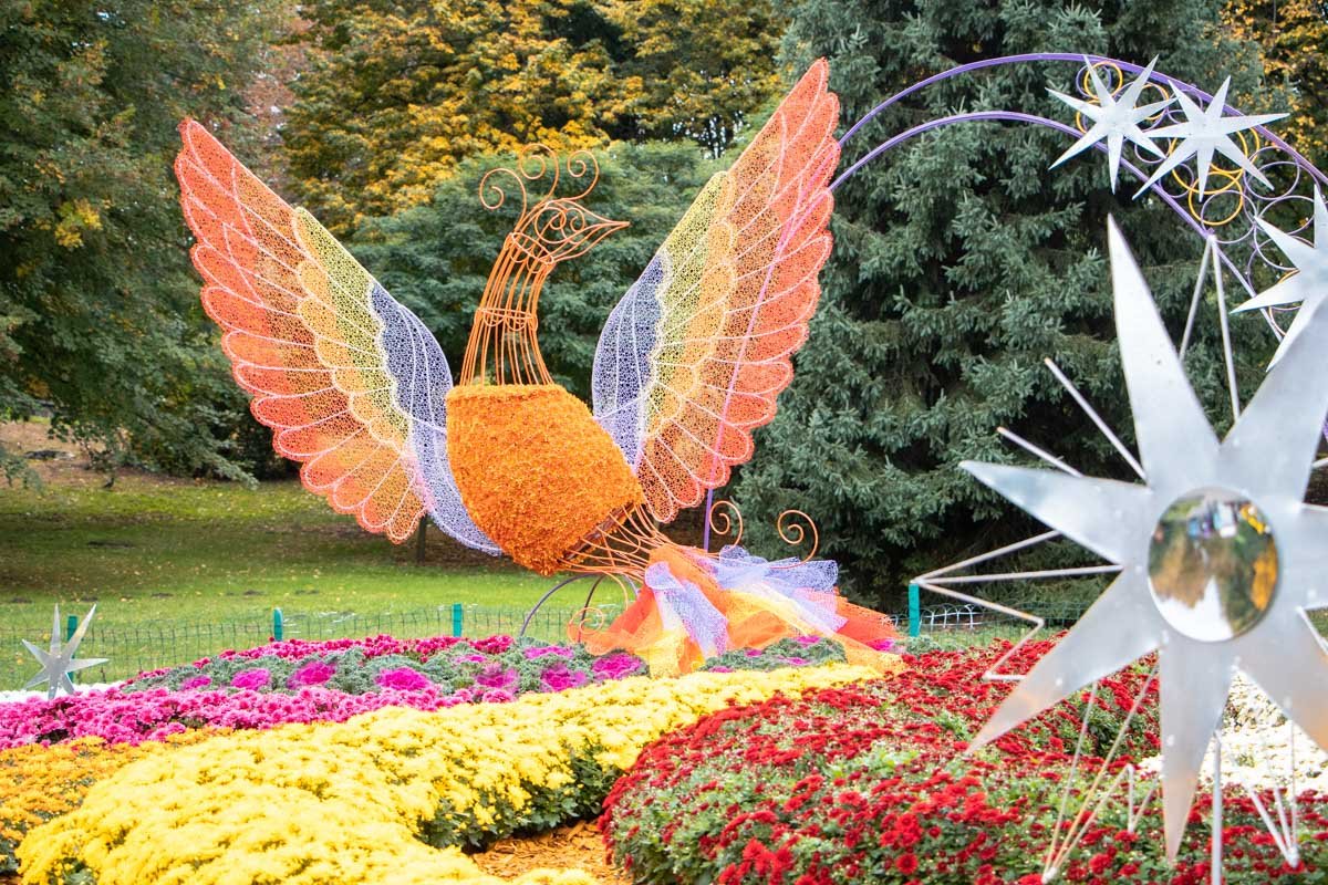 Помимо наслаждения такими вот цветочными картинами гостям будет чем заняться