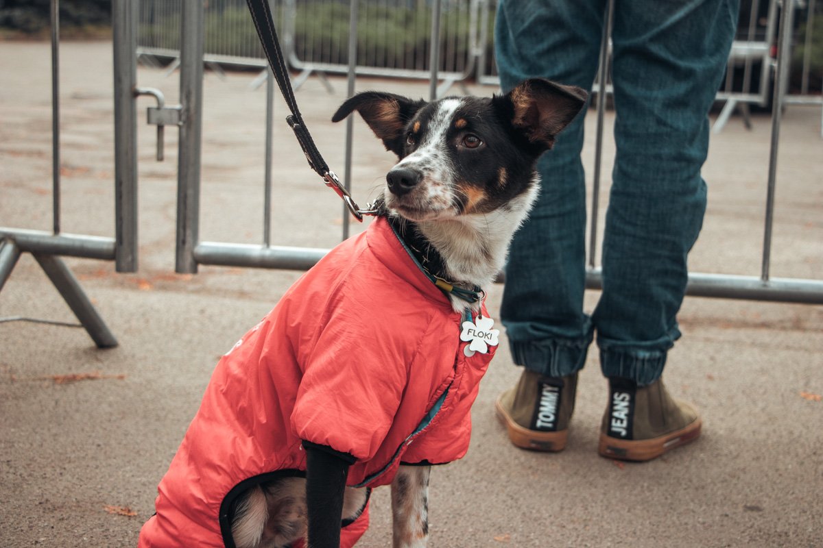Один из самых милых участников