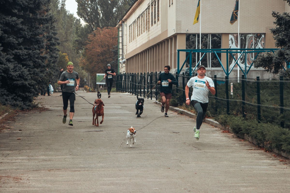 Хозяева и их питомцы рвутся к победе